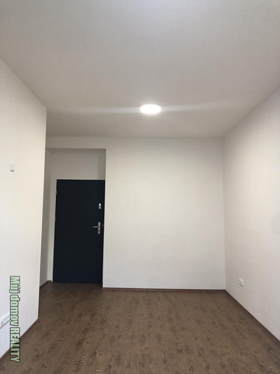 Pronájem bytu 1+kk 29 m² – fotografie 4