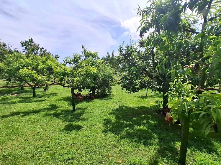 Ostatní