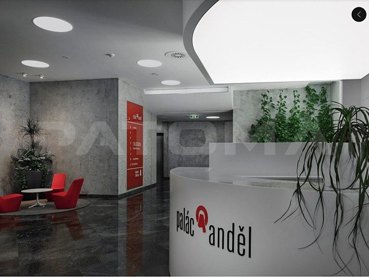 Комерційне приміщення в оренду, 379 м² (11 з 13)