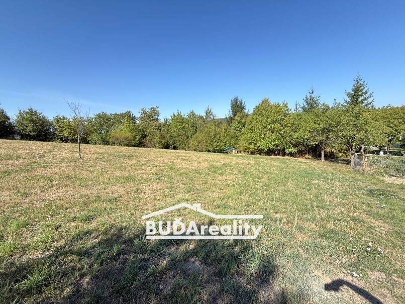 Prodej louky 3374 m²