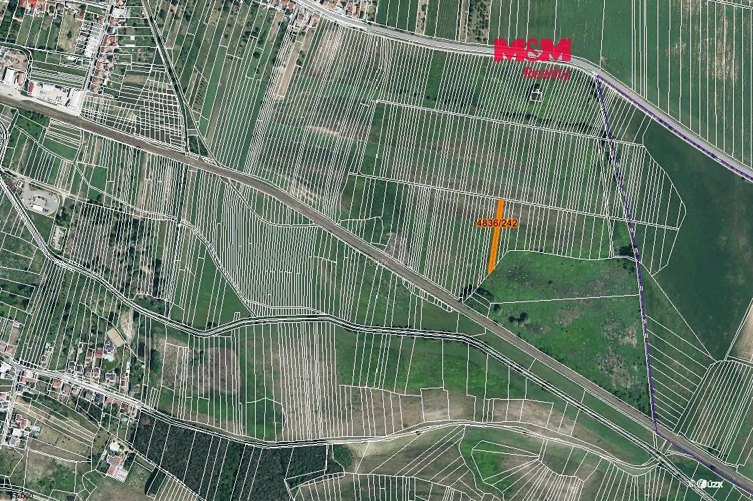 Prodej pole 194 m²