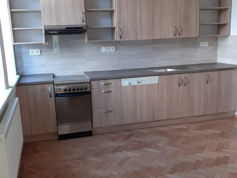 Pronájem bytu 1+1 64 m², Plzeň – náhled fotky 3