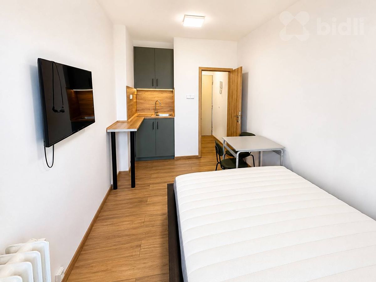 Pronájem bytu 1+kk 17 m² – fotografie 4