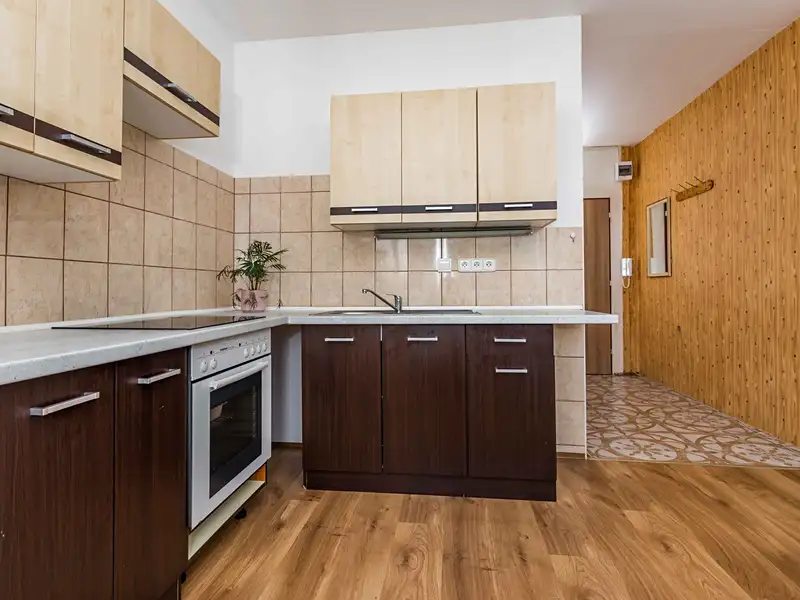 Prodej bytu 1+1 35 m², Bílina – náhled fotky 2