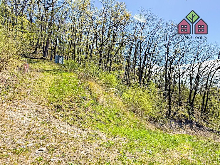 Prodej pozemku, 4 999 m² (13 z 22)