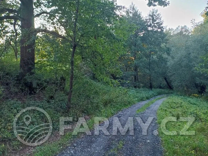 Prodej lesa 16432 m²