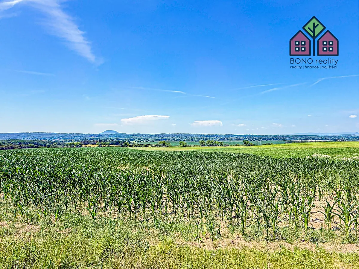 Prodej pole 41291 m²