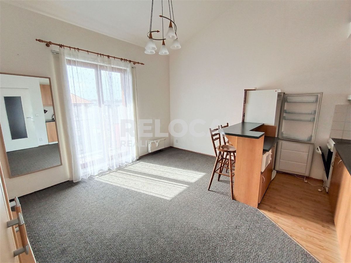 Pronájem bytu 1+1 40 m²