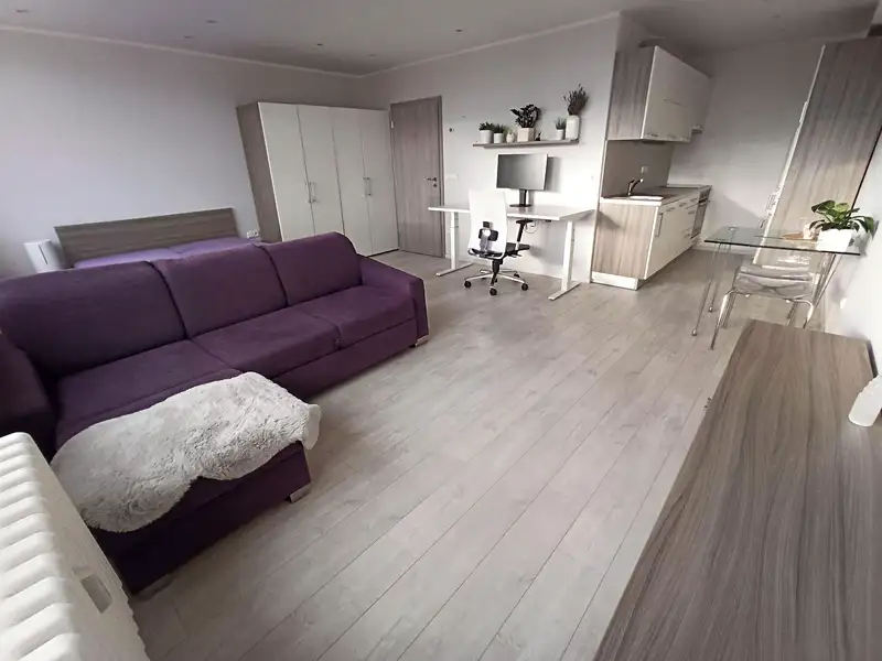 Pronájem bytu 1+kk 39 m², Praha – náhled fotky 2