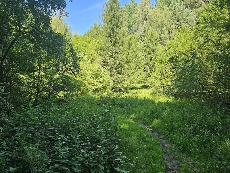 Prodej louky 12985 m², Boseň – náhled fotky 2