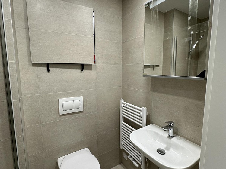 Pronájem bytu 1+kk, 24 m² (5 z 6)