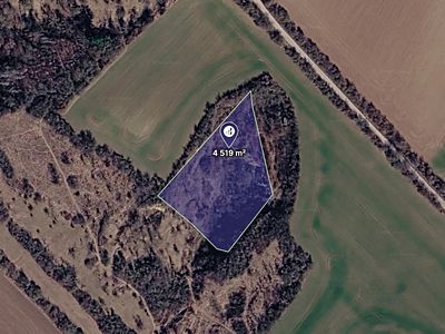 Prodej pozemku 4519 m²