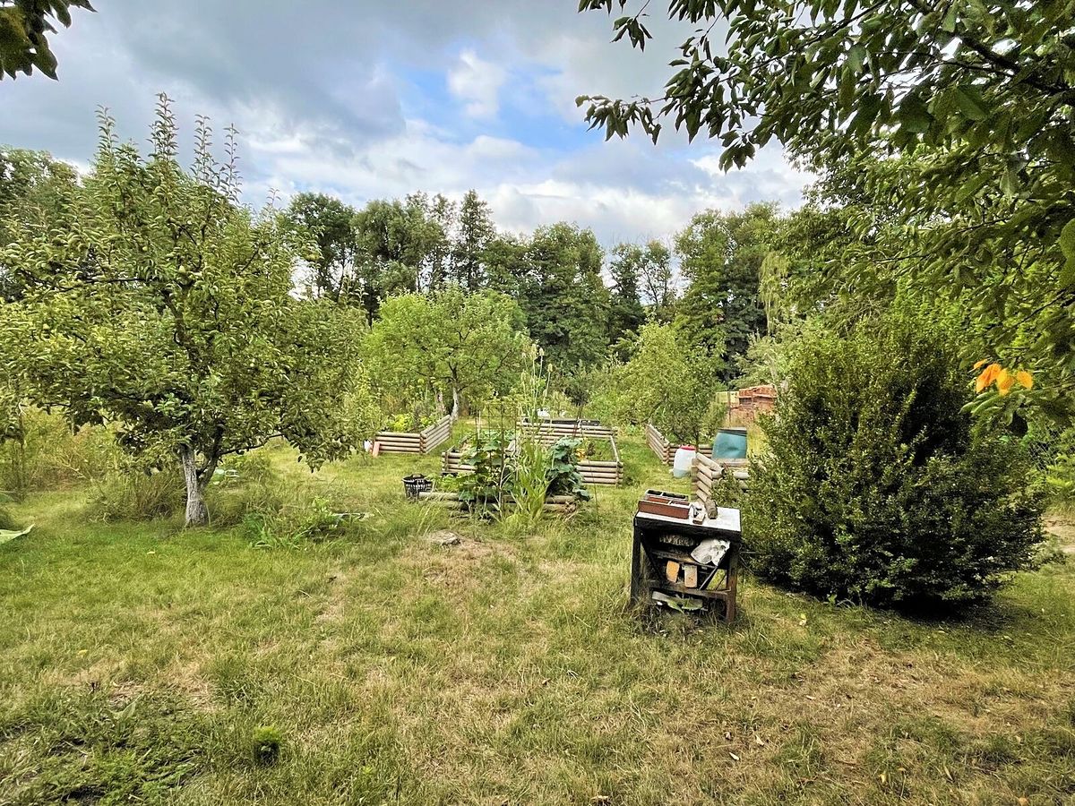 Prodej rodinného domu 180 m², pozemek 1779 m² – fotografie 5
