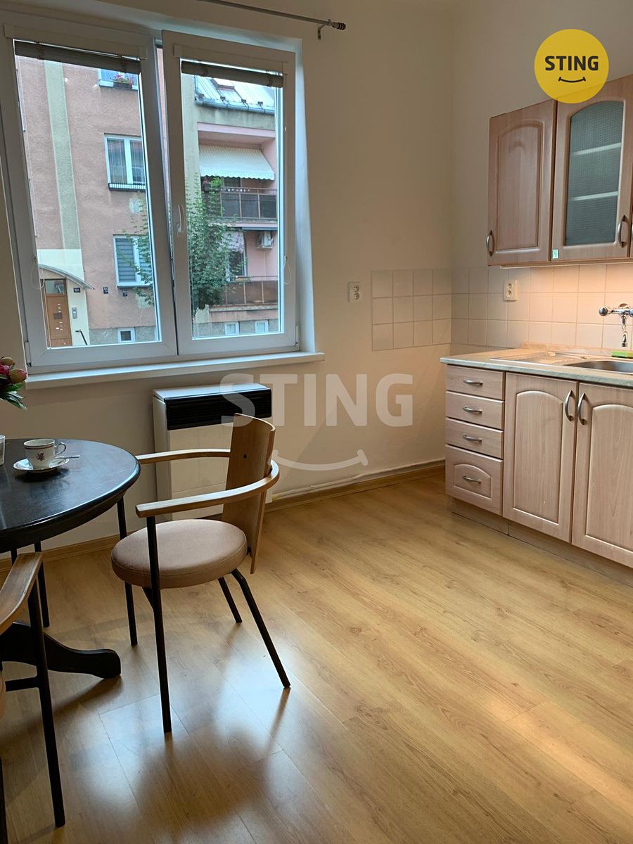 Pronájem bytu 1+1 46 m² – fotografie 4