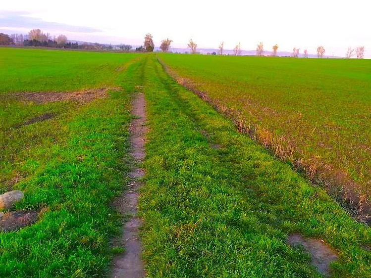 Ostatní