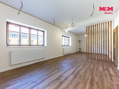 Prodej domu, 450 m² (2 z 26)