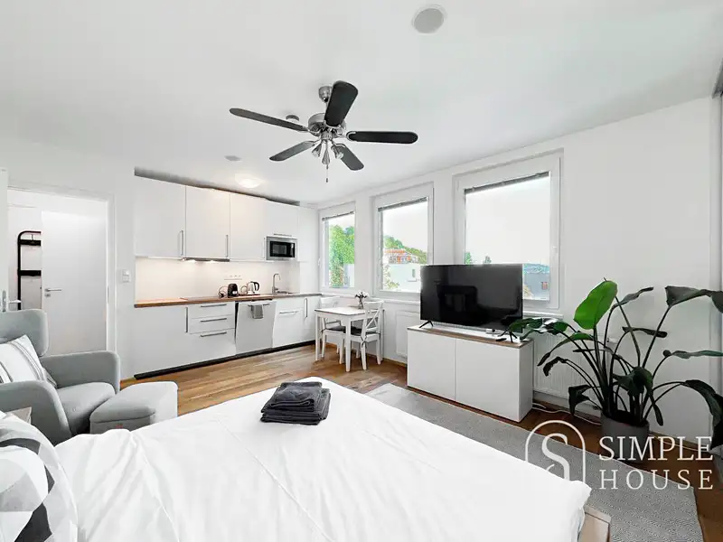 Pronájem bytu 1+kk 30 m², Praha – náhled fotky 2