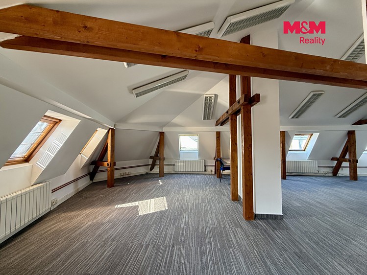 Комерційне приміщення в оренду, 275 м² (2 з 11)