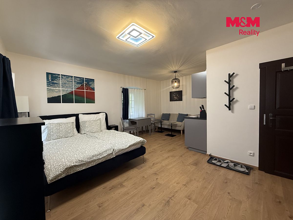 Pronájem bytu 1+kk 27 m² – fotografie 4