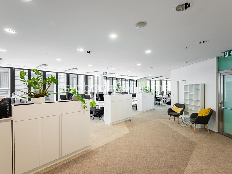 Комерційне приміщення в оренду, 352 м² (7 з 13)