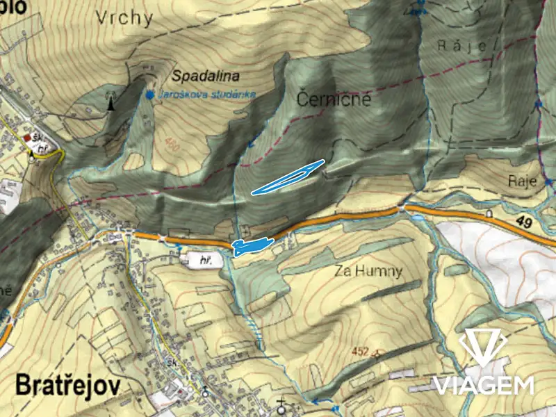 Prodej lesa 4108 m², Bratřejov – náhled fotky 3