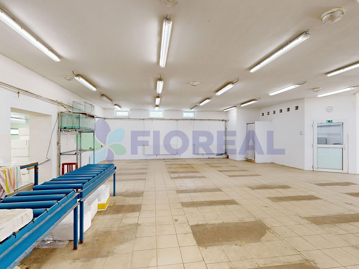 Prodej výrobní haly, prostoru 320 m² – fotografie 4