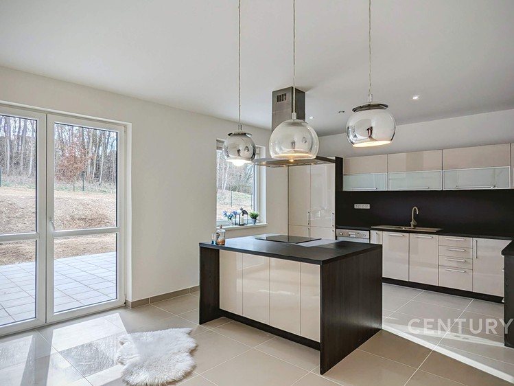 Prodej domu, 320 m² (6 z 21)