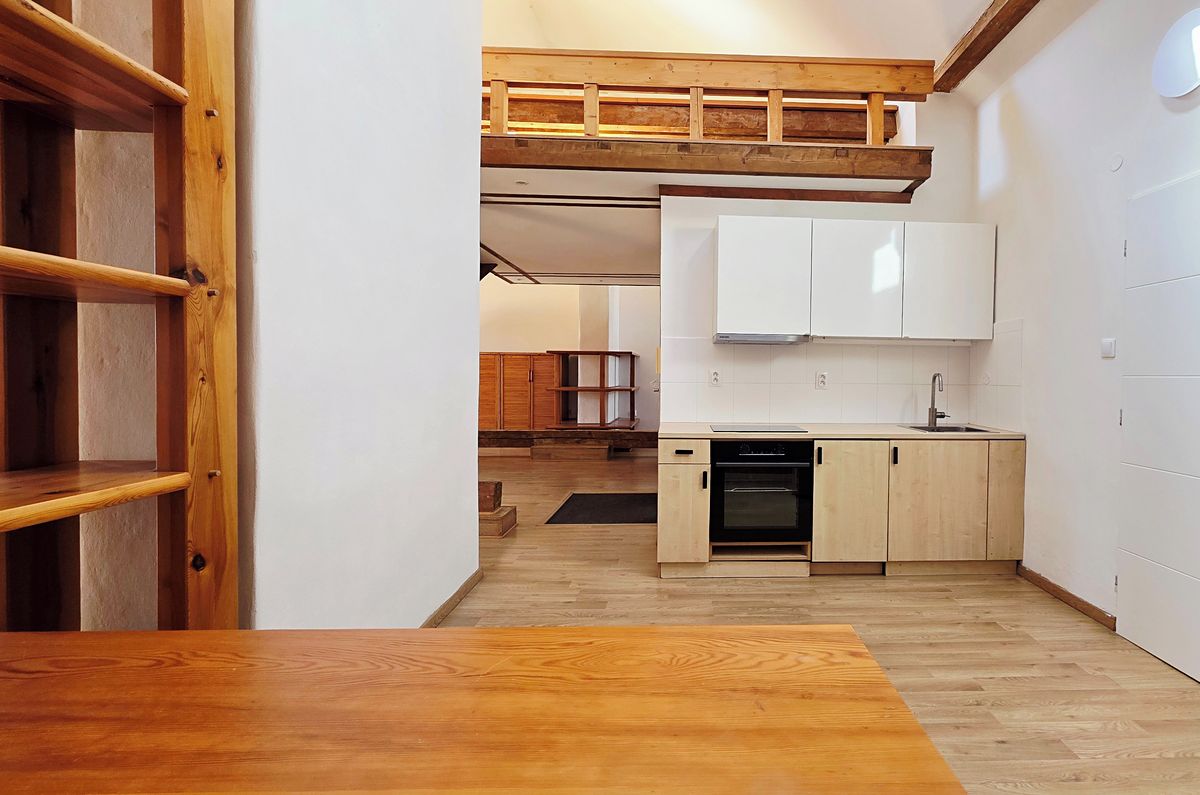 Pronájem bytu 1+kk 106 m² – fotografie 3