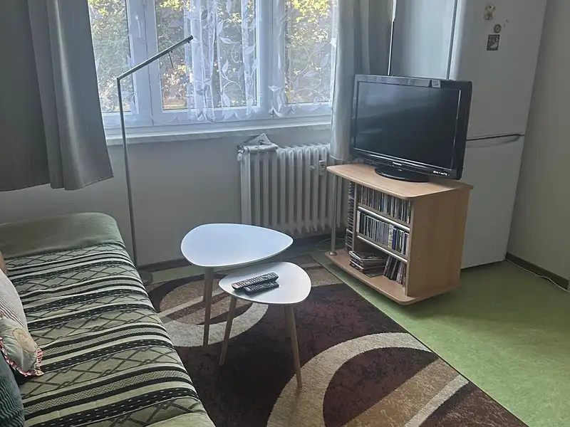 Pronájem bytu 1+1 38 m², České Budějovice – náhled fotky 1