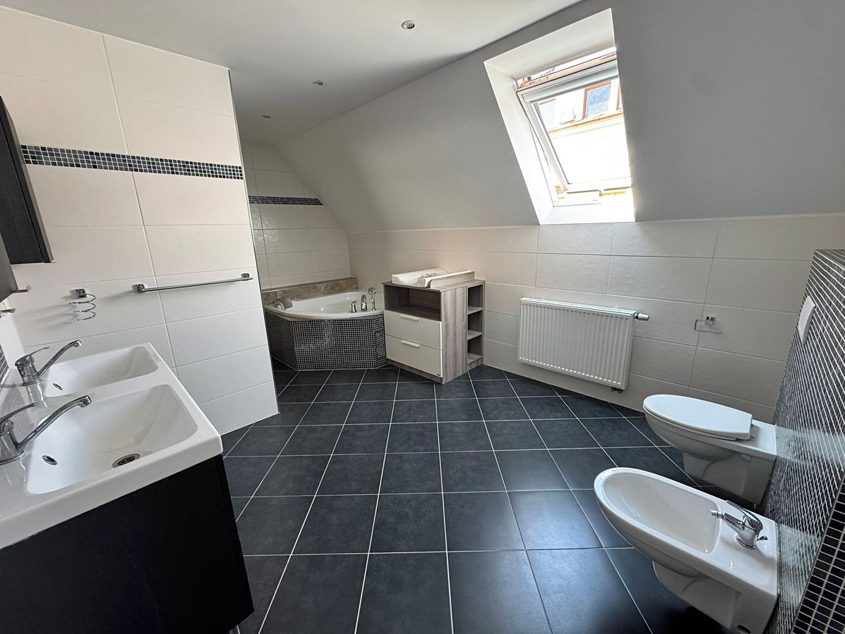 Prodej rodinného domu 250 m², pozemek 390 m² – fotografie 2