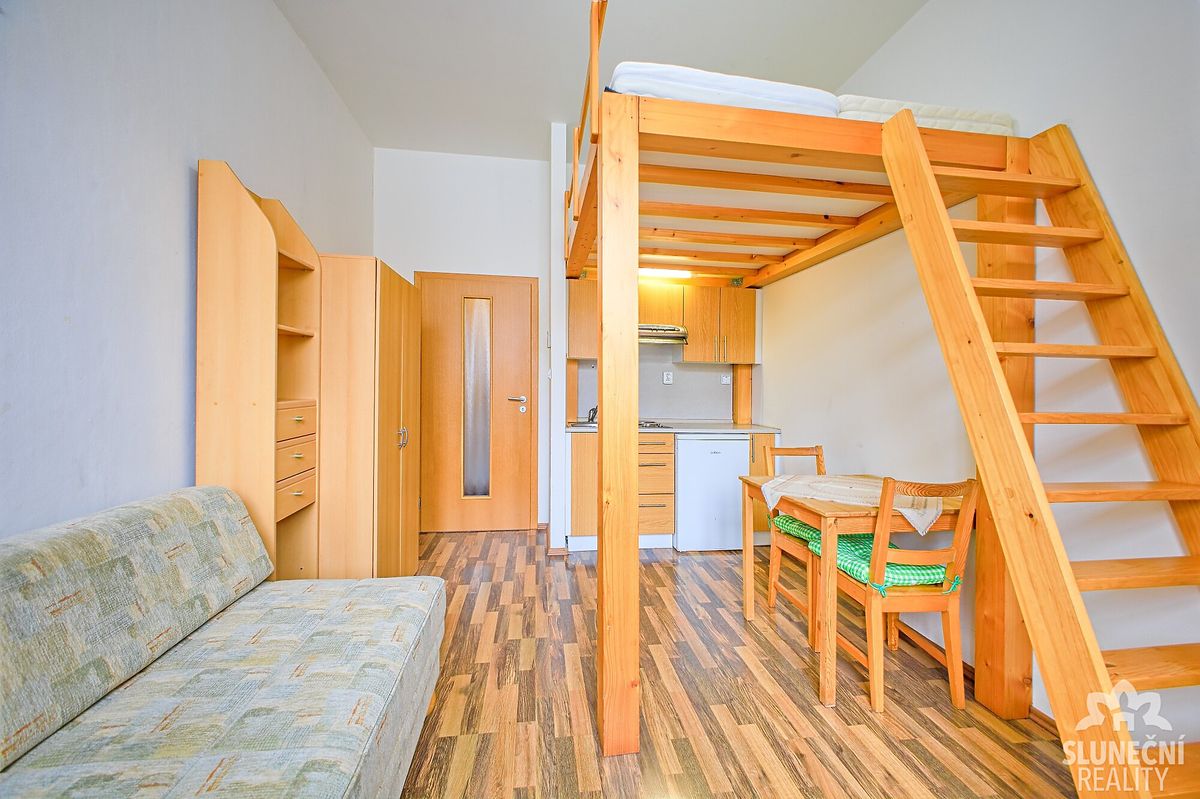 Pronájem bytu 1+kk 20 m²