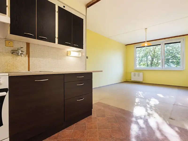 Prodej bytu 2+kk 42 m², Teplice – náhled fotky 1