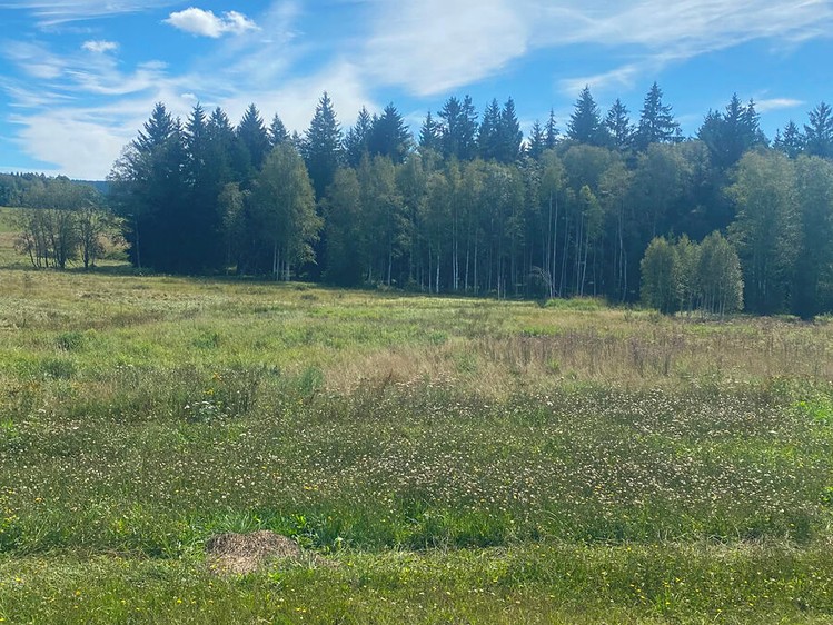 Prodej pozemku, 29 205 m² (4 z 9)