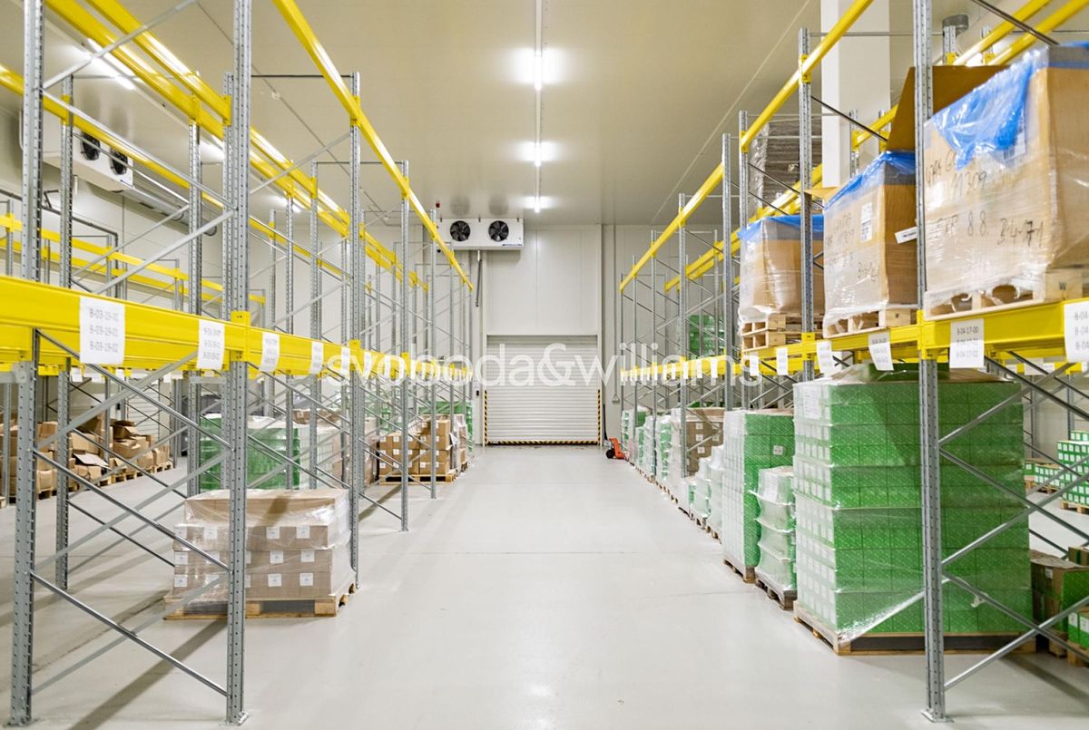 Pronájem skladového prostoru 8791 m² – fotografie 2