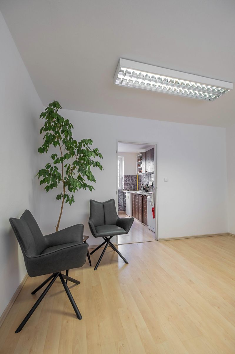 Pronájem kanceláře 273 m² – fotografie 3