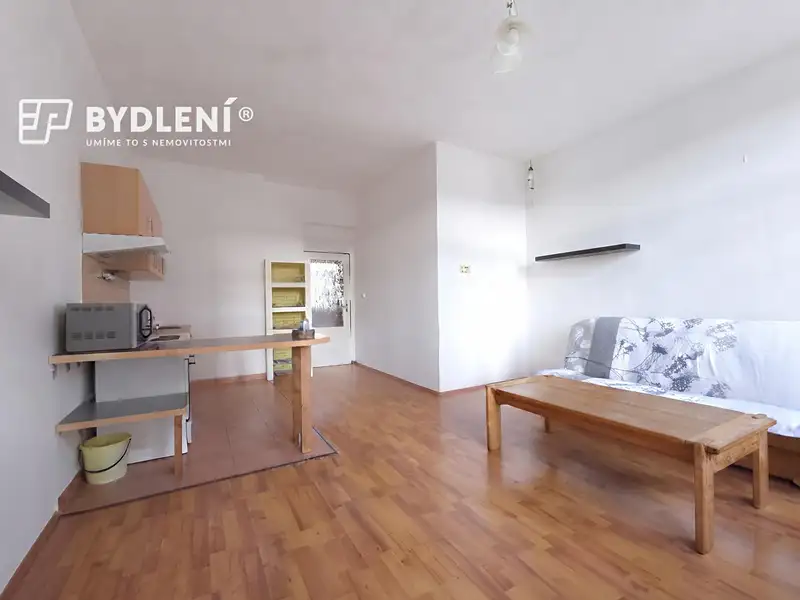 Pronájem bytu 1+1 48 m², Teplice – náhled fotky 3