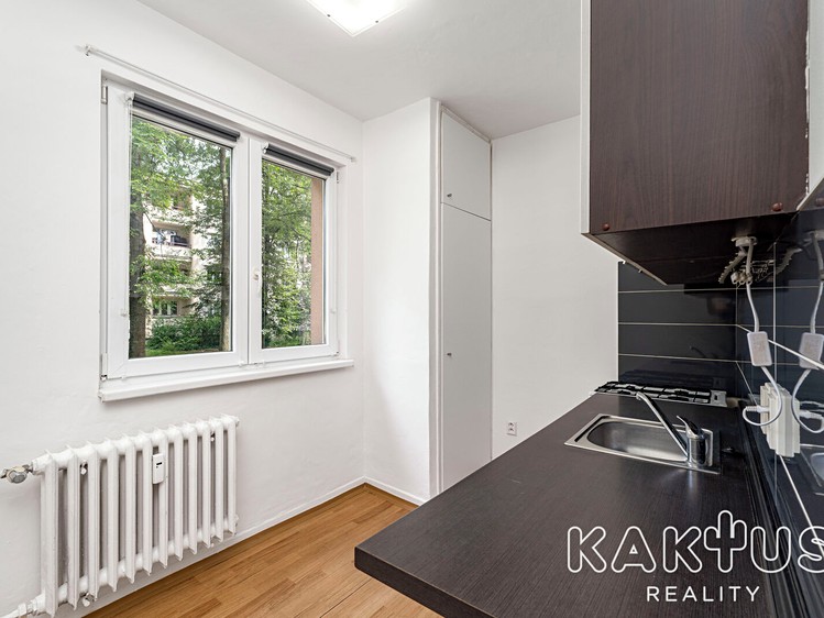 Wohnung 3+1 zur Miete, 55 m² (9 von 29)