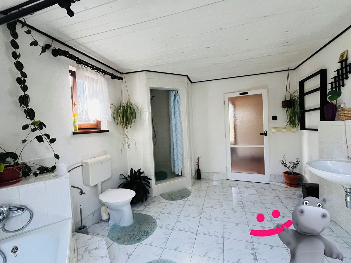 Prodej rodinného domu 446 m², pozemek 4955 m² – fotografie 5