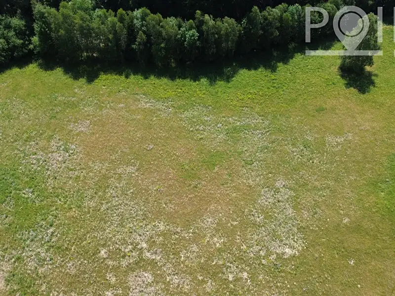 Prodej stavebního pozemku 3632 m², Gruna – náhled fotky 3
