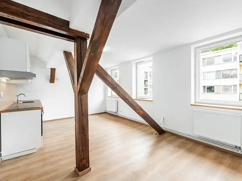 Prodej bytu 2+kk 50 m², Praha – náhled fotky 2