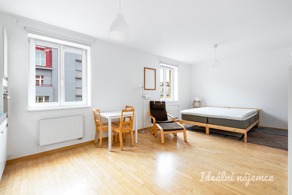 Pronájem bytu 1+kk 40 m² – fotografie 3