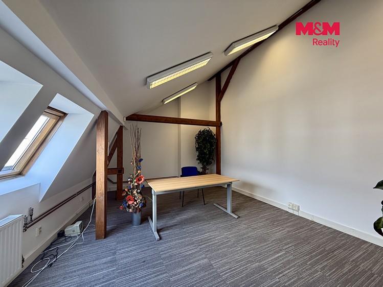 Комерційне приміщення в оренду, 275 м² (7 з 11)
