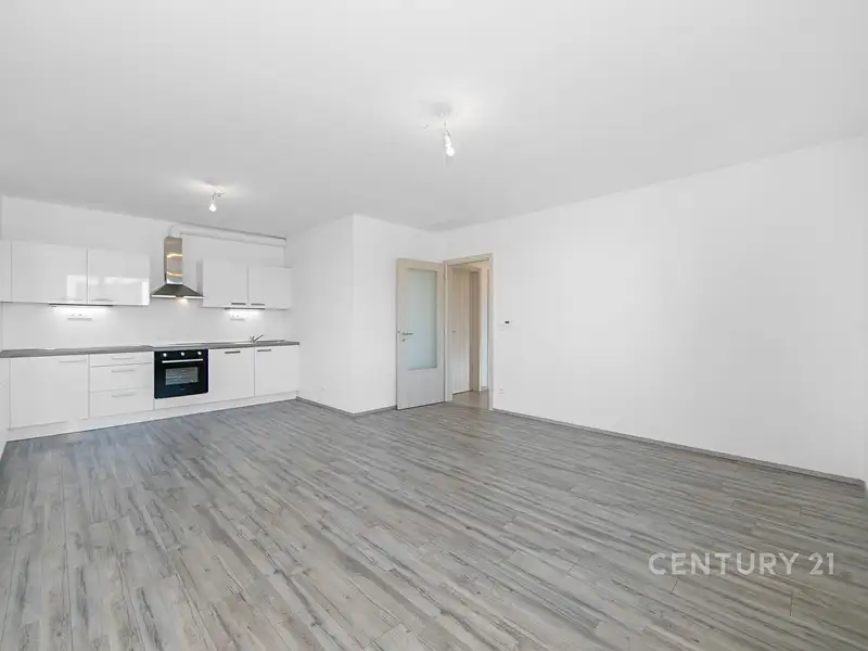Pronájem bytu 2+kk 55 m², Plzeň – náhled fotky 2
