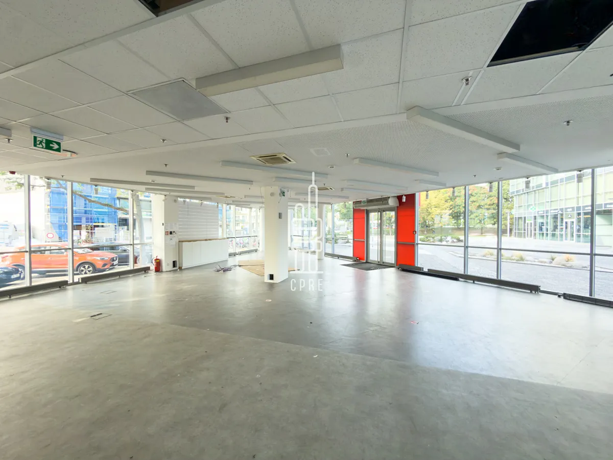 Fotka 4 z 11