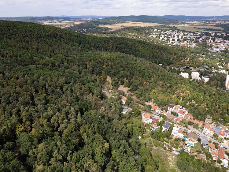 Haus zum Kauf, 150 m² (6 von 37)