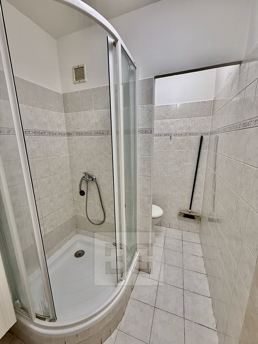 Pronájem bytu 1+1 36 m² – fotografie 5