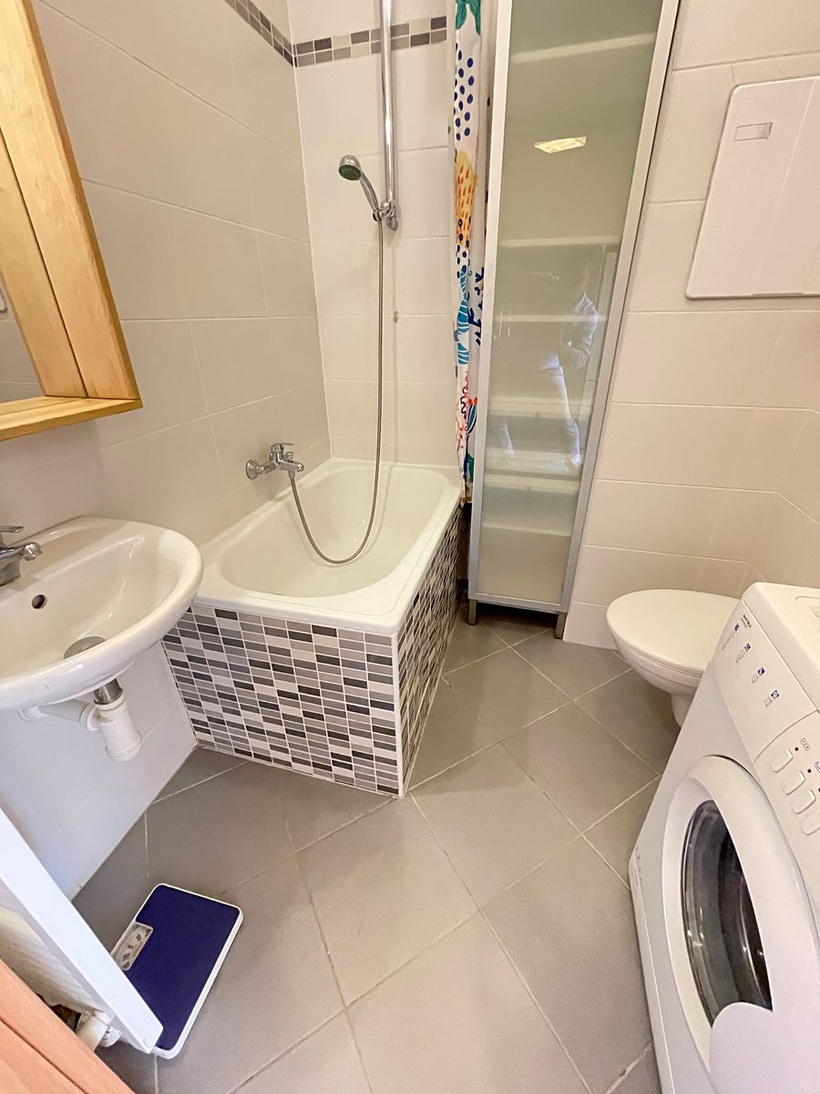 Pronájem bytu 1+kk 33 m² – fotografie 5