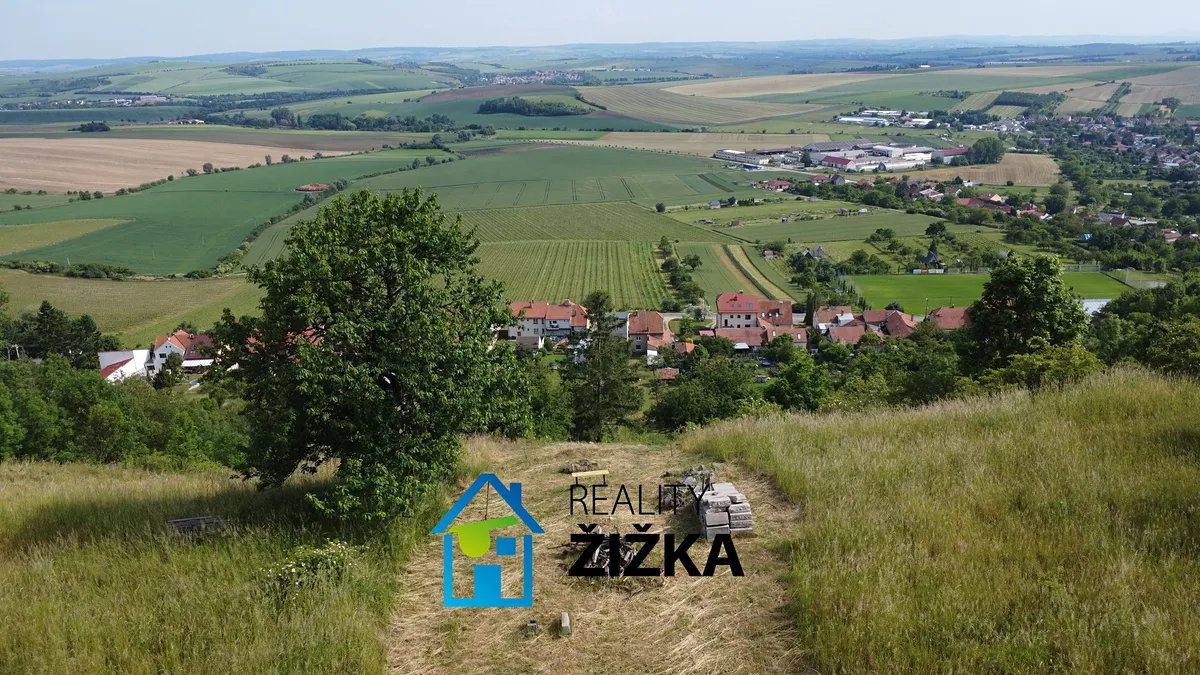 Fotka 8 z 12