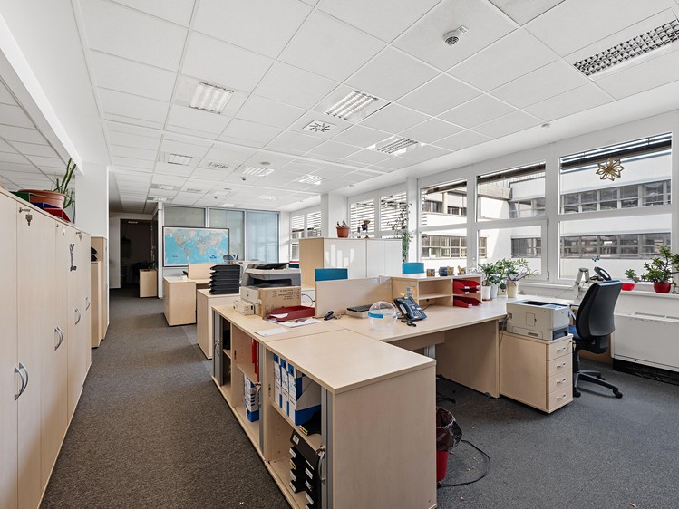 Pronájem komerčního prostoru, 300 m² (4 z 10)