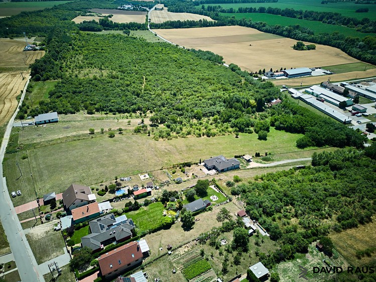 Ostatní